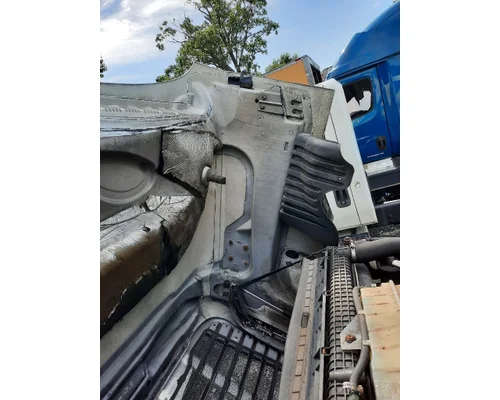 FREIGHTLINER CASCADIA 125 HOOD