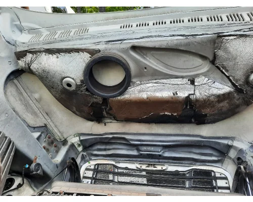 FREIGHTLINER CASCADIA 125 HOOD