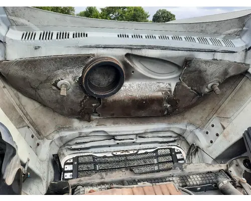 FREIGHTLINER CASCADIA 125 HOOD
