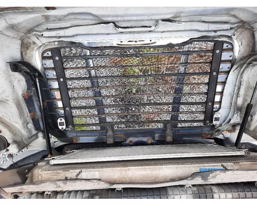FREIGHTLINER CASCADIA 125 HOOD