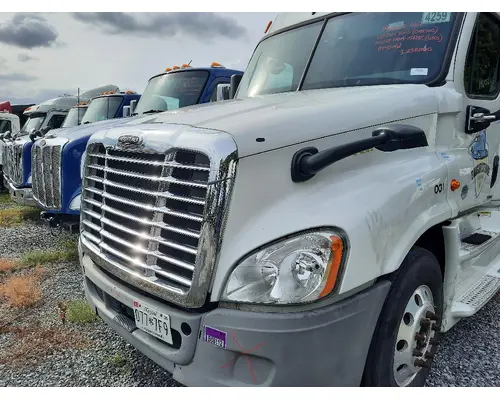 FREIGHTLINER CASCADIA 125 HOOD