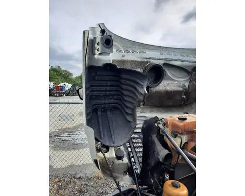 FREIGHTLINER CASCADIA 125 HOOD