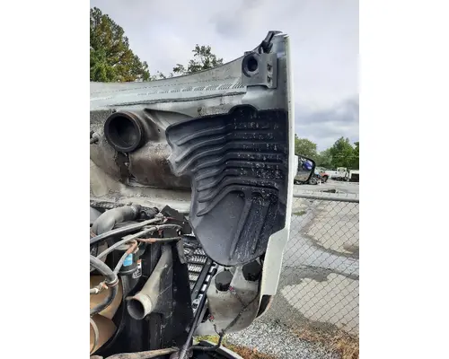 FREIGHTLINER CASCADIA 125 HOOD