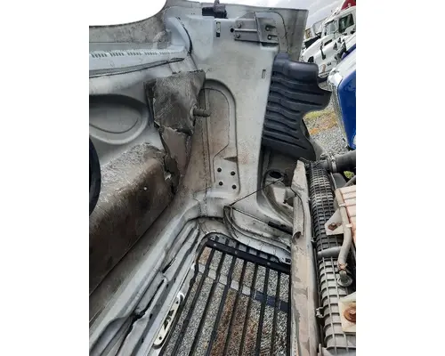 FREIGHTLINER CASCADIA 125 HOOD