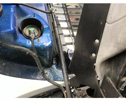 FREIGHTLINER CASCADIA 125 HOOD