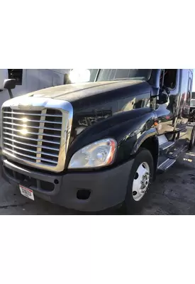 FREIGHTLINER CASCADIA 125 HOOD