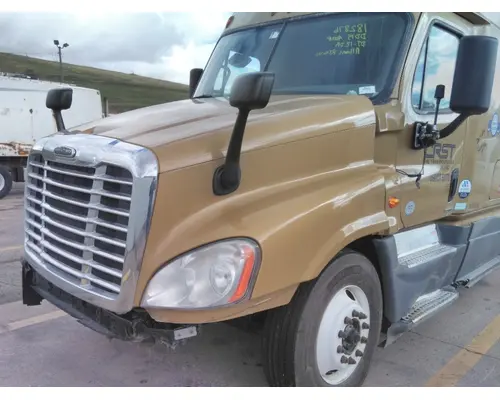 FREIGHTLINER CASCADIA 125 HOOD