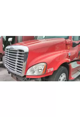 FREIGHTLINER CASCADIA 125 HOOD