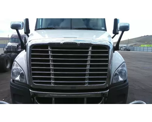 FREIGHTLINER CASCADIA 125 HOOD