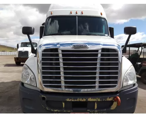 FREIGHTLINER CASCADIA 125 HOOD