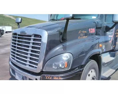 FREIGHTLINER CASCADIA 125 HOOD