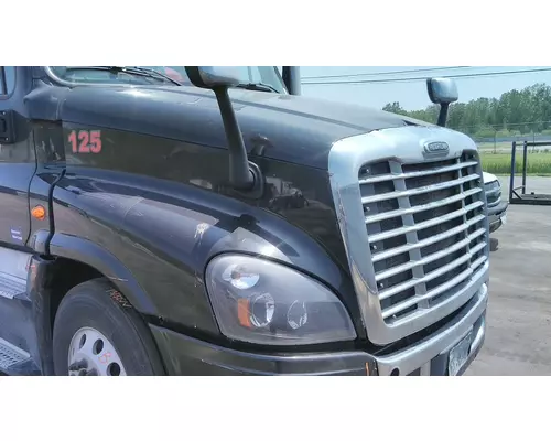 FREIGHTLINER CASCADIA 125 HOOD