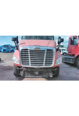 FREIGHTLINER CASCADIA 125 HOOD