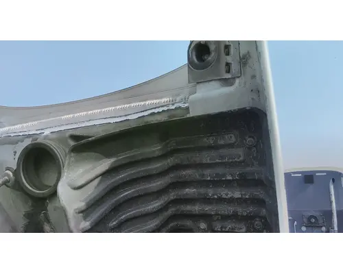 FREIGHTLINER CASCADIA 125 HOOD