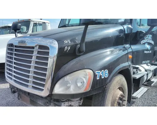 FREIGHTLINER CASCADIA 125 HOOD