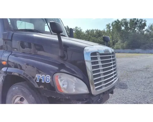FREIGHTLINER CASCADIA 125 HOOD