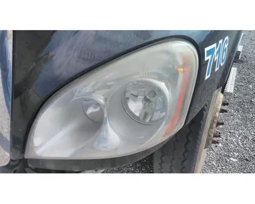 FREIGHTLINER CASCADIA 125 HOOD