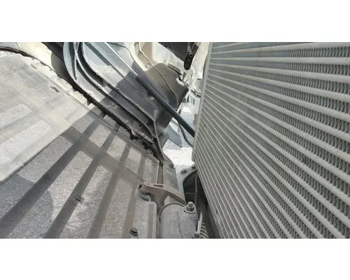 FREIGHTLINER CASCADIA 125 HOOD