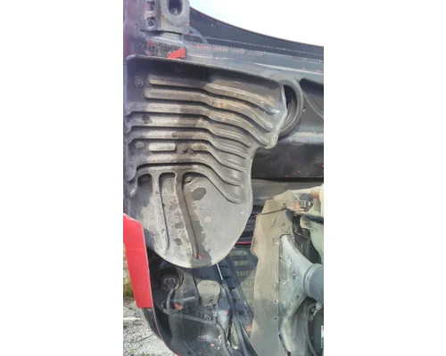 FREIGHTLINER CASCADIA 125 HOOD