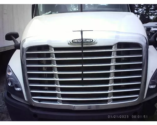 FREIGHTLINER CASCADIA 125 HOOD