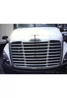 FREIGHTLINER CASCADIA 125 HOOD