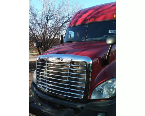 FREIGHTLINER CASCADIA 125 HOOD