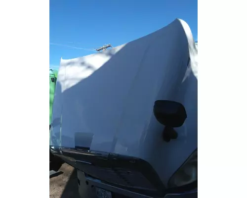 FREIGHTLINER CASCADIA 125 HOOD