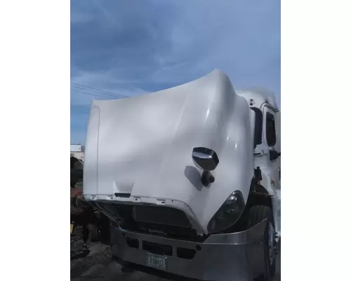 FREIGHTLINER CASCADIA 125 HOOD