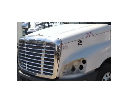 FREIGHTLINER CASCADIA 125 HOOD