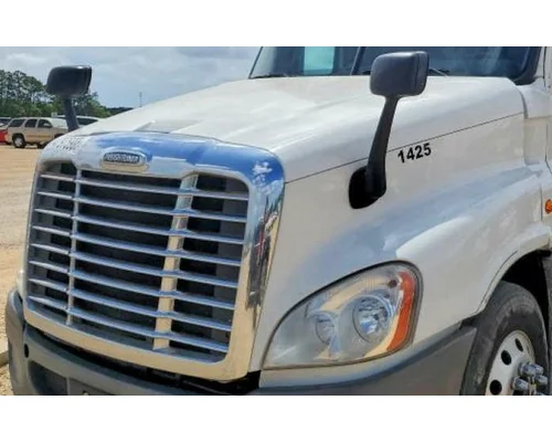 FREIGHTLINER CASCADIA 125 HOOD