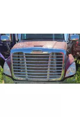 FREIGHTLINER CASCADIA 125 Hood 