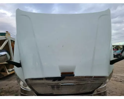 FREIGHTLINER CASCADIA 125 Hood 