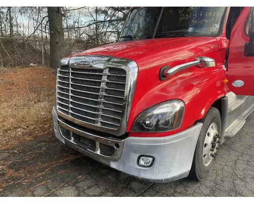 FREIGHTLINER CASCADIA 125 Hood