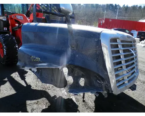 FREIGHTLINER CASCADIA 125 Hood