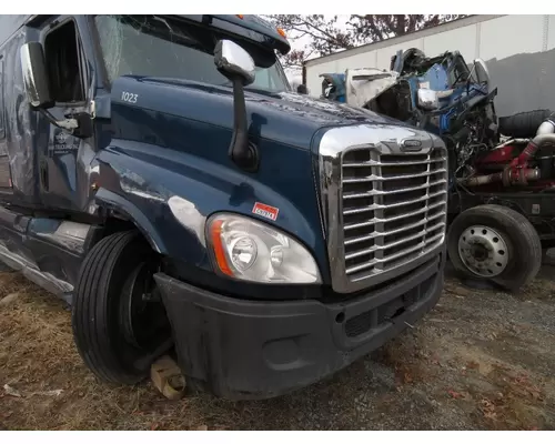 FREIGHTLINER CASCADIA 125 Hood