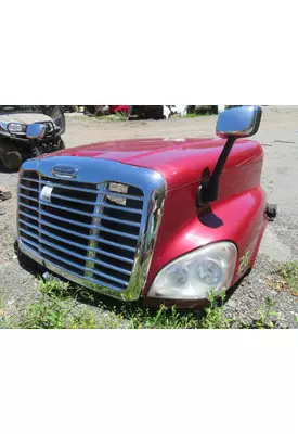 FREIGHTLINER CASCADIA 125 Hood