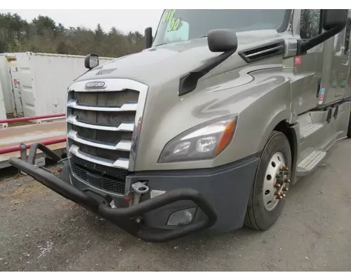 FREIGHTLINER CASCADIA 125 Hood