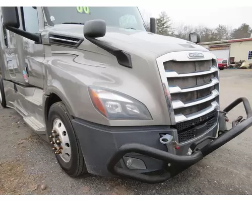 FREIGHTLINER CASCADIA 125 Hood