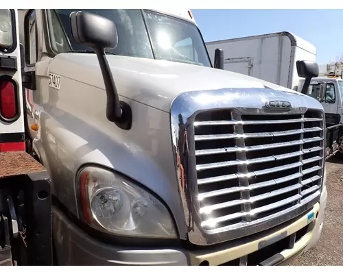 FREIGHTLINER CASCADIA 125 Hood