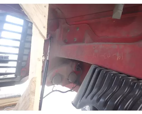 FREIGHTLINER CASCADIA 125 Hood