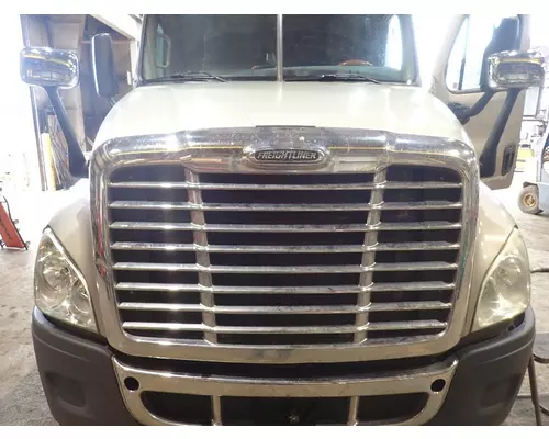 FREIGHTLINER CASCADIA 125 Hood
