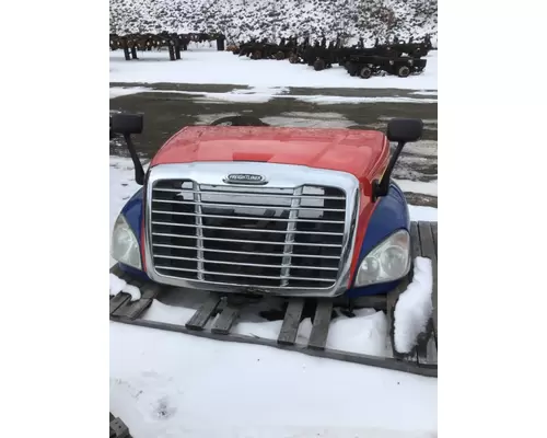 FREIGHTLINER CASCADIA 125 Hood