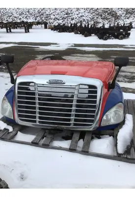 FREIGHTLINER CASCADIA 125 Hood