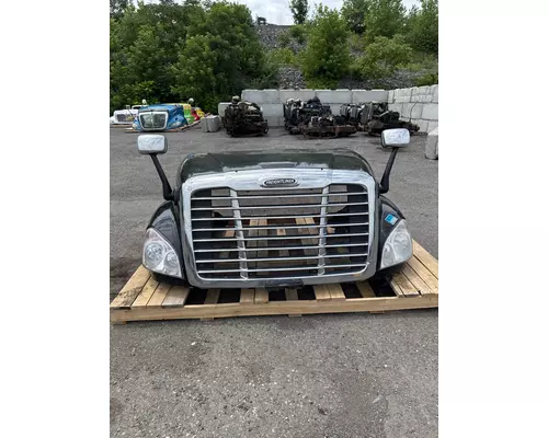 FREIGHTLINER CASCADIA 125 Hood