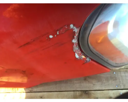 FREIGHTLINER CASCADIA 125 Hood