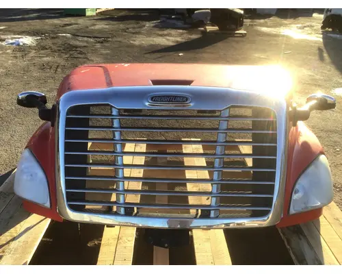 FREIGHTLINER CASCADIA 125 Hood