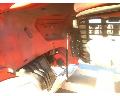 FREIGHTLINER CASCADIA 125 Hood