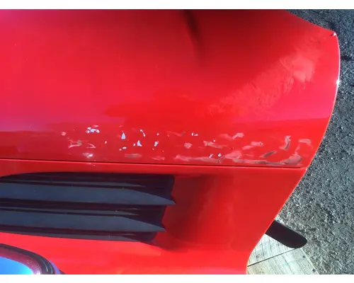 FREIGHTLINER CASCADIA 125 Hood