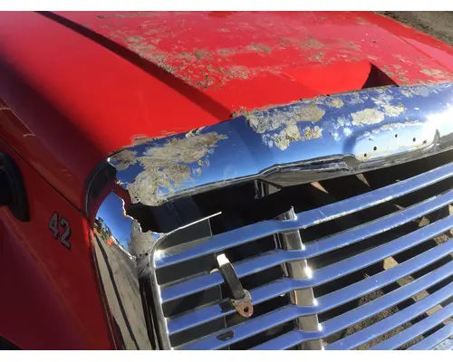 FREIGHTLINER CASCADIA 125 Hood