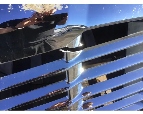 FREIGHTLINER CASCADIA 125 Hood